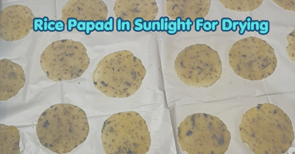 crispy rice papad (1)