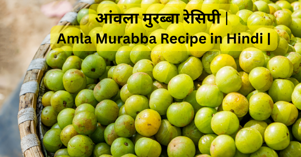 | Amla Murabba Recipe in Hindi | आंवला मुरब्बा रेसिपी घर पर बनाएं स्वादिष्ट और हेल्दी आंवला मुरब्बा आंवला मुरब्बा रेसिपी amla murabba recipe in hindi