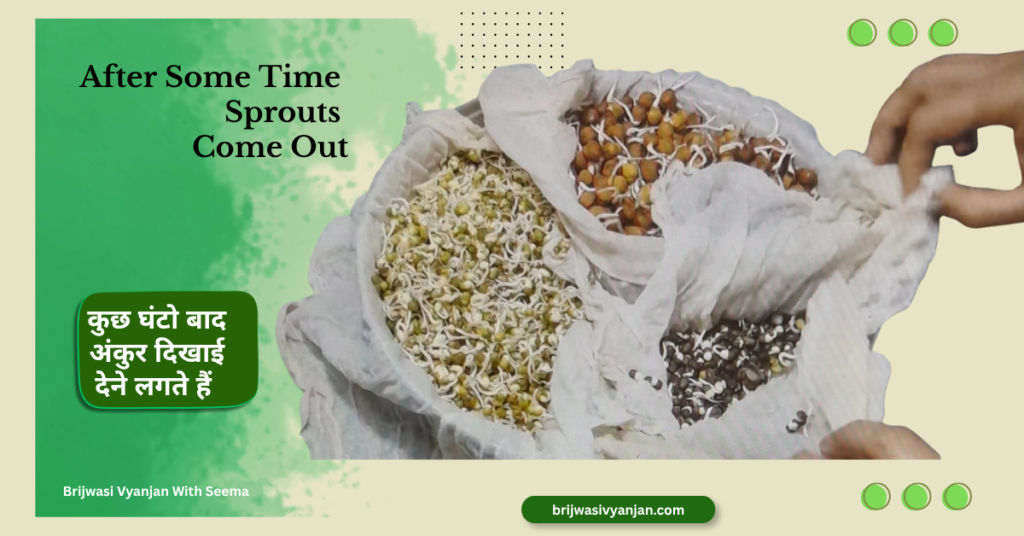 How To Sprout Pulses in Hindi | अंकुरित दालें बनाने का आसान और सही तरीका how to clean and soak pulses in to water4