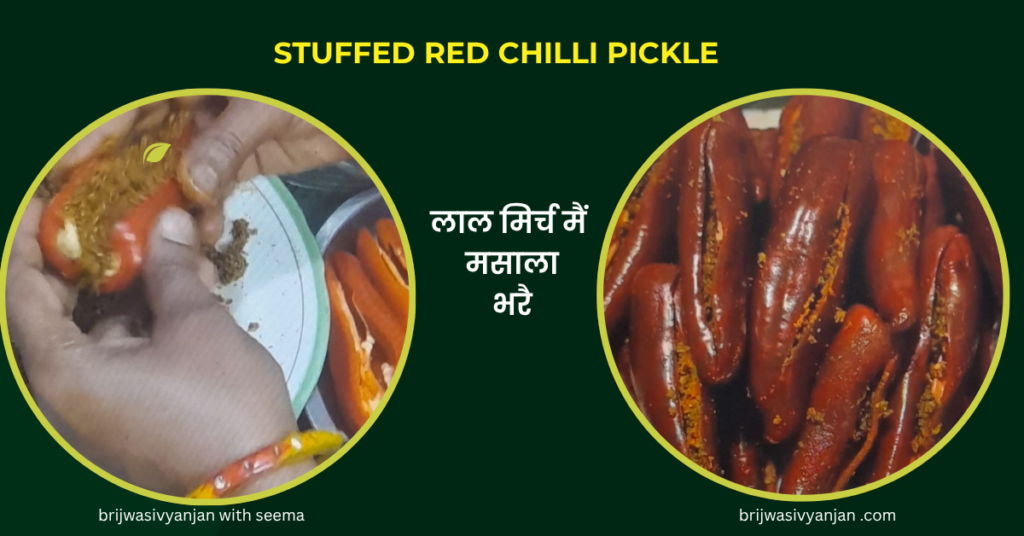 Best Chaas Wali Lal Mirch Ka Achar Recipe in Hindi | छाछ वाली भरवां लाल मिर्च का स्वादिष्ट अचार stuffed red chilli pickle